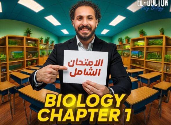 WhatsApp Image 2025-10-28 at 18.35.34_11b13b1d