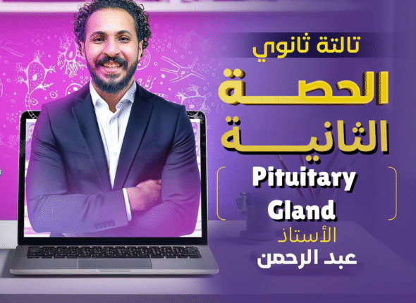 الأولـــى (6)