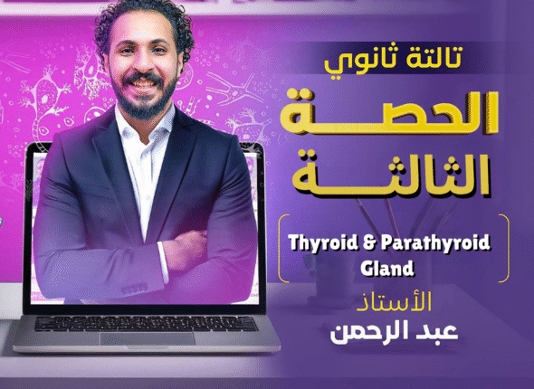 الأولـــى (7)