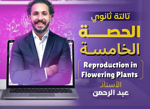 الأولـــى (12)